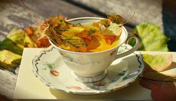 Ginger Tea Recipes: मानसून में पिएं ये चाय, समोसे, पकौड़े का मजा कर देगी डबल, नोट करें रेसिपी