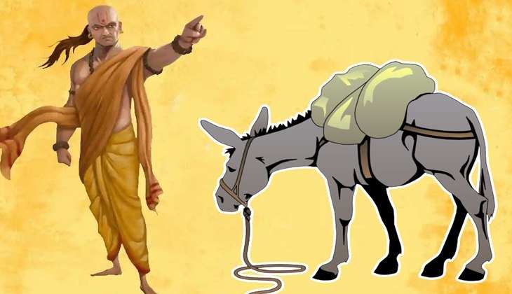Chanakya Niti: गधे से सीखें काम की ये बात, जीवन में कभी नहीं खाएंगे मात…