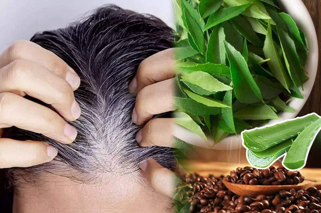 Hair Care Tips: इन 5 नुस्खों से घना हो जाएगा आपके सिर का जंगल! झड़ते बालों की समस्या से मिलेगा छुटाकारा