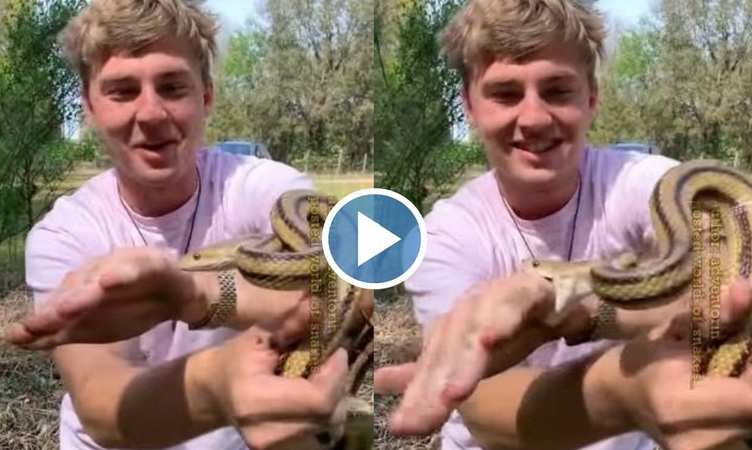 Snake Video: हे भगवान! इस शख्स ने सांप के मुंह में खुशी-खुशी दे दिया अपना हाथ, देखिए फिर क्या हुआ