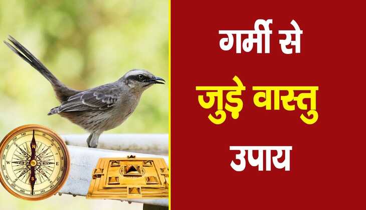 Summer Vastu Tips: गर्मियों में क्या करें ऐसा? जिससे प्रसन्न हो जाए सभी देवी-देवता