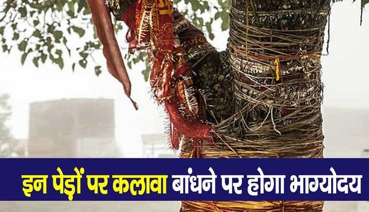 Laxmi ki kripa: ये 5 पेड़ है बेहद चमत्कारी, कलावा या धागा बांधते ही पूरी करते हैं मनोकामना सारी