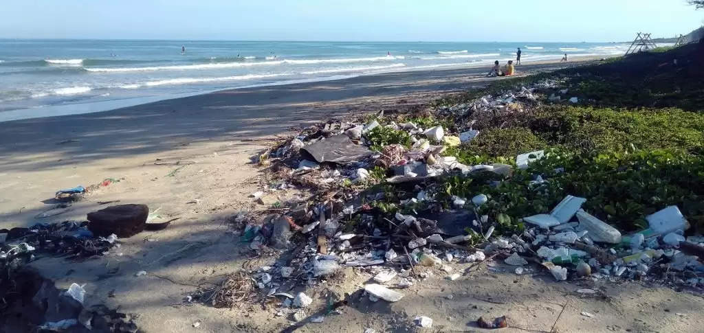 Plastic Pollution: बाहर का खाना समुद्र में डाल रहा है कचरा