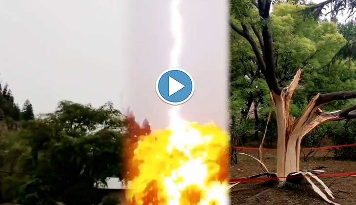 Viral Video: आसमान से कड़कड़ाते हुए पेड़ पर गिरी बिजली, उड़ गए परखच्चे! देखिए खौफनाक वीडियो
