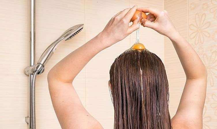 Hair Care Tips: संडे को करें अंडे का ये असरदार उपाय ,बाल झड़ने की दिक्कत हो जाएंगी दूर, जानें तरीका
