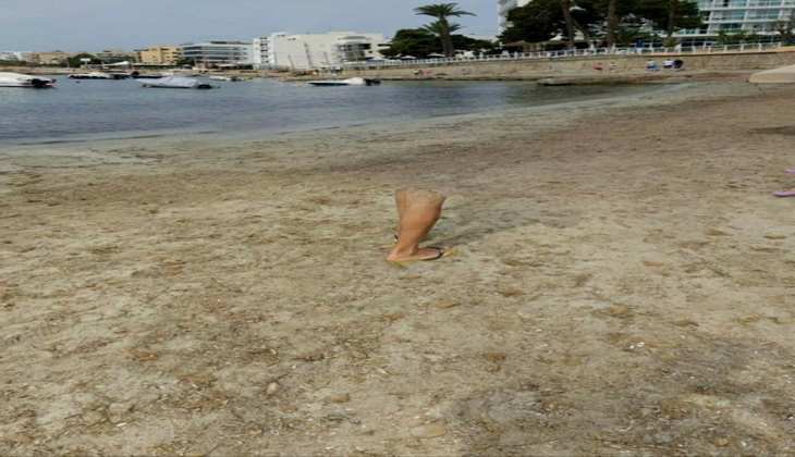 Viral news: समुद्र के किनारे बिना बॉडी के घूमती दिखी टांगे, देखकर उड़ जाएंगे होश
