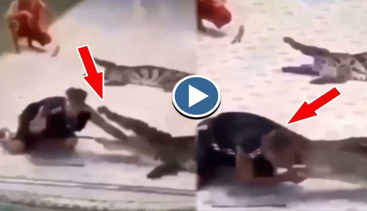 Viral Video: हाय दईया! मगरमच्छ के मुंह में दे दिया इस शख्स ने अपना पूरा हाथ, देखिए डरावना वीडियो