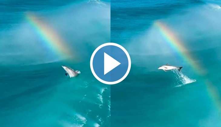 Viral Video: समंदर से निकल डॉल्फिन ने छुआ इंद्रधनुष, अद्भुत वीडियो देख आपके भी उड़ जाएंगे होश