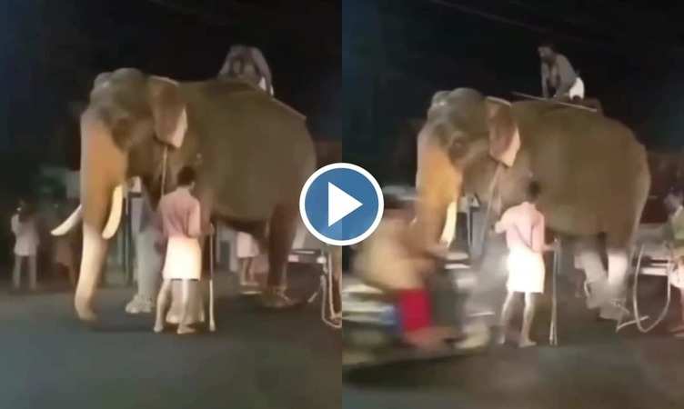 Elephant Viral Video: स्कूटी समेत शख्स को उड़ा ले गई 'पापा की परी', पास खड़े हाथी ने दिया गजब का रिएक्शन