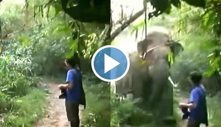 Elephant Attack Video: जंगल में आदमी के सामने अचानक आ धमके गजराज, वीडियो देख खड़े हो जाएंगे रोंगटे