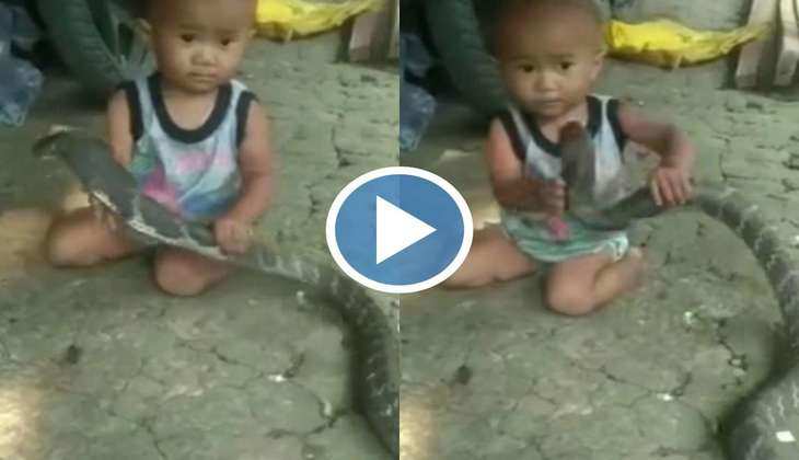 Saap Ka Video: हे भगवान! बच्चे ने हाथ में पकड़ लिया खतरनाक सांप, वीडियो देख रह जाएंगे हक्के-बक्के