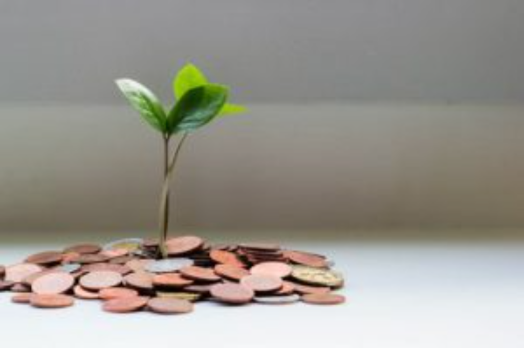 Money plant aur vastu: घर में लगाने जा रहे हैं मनी प्लांट, तो इन 5 बातों का जरूर रखें ख्याल