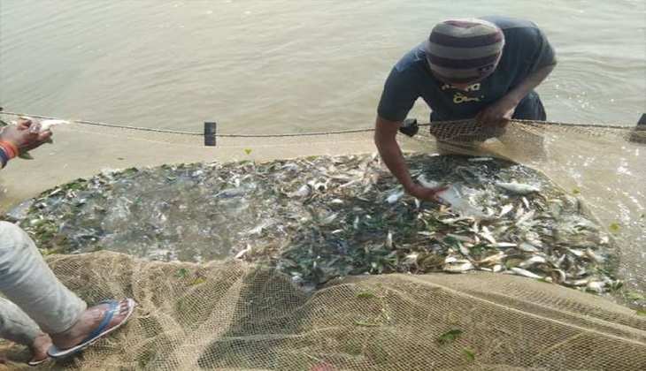 PM Matsya Sampada Yojana: मछली पालन करने के लिए सरकार किसानों को दे रही है 2 लाख की सब्सिडी, तुरंत करें ऐसे अप्लाई