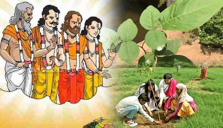 Pitru Paksh 2022: इन दिनों घर में लगाएं ये 5 पौधे, पितरों संग बरसेगी शिव जी की कृपा