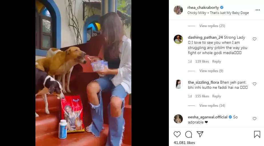 Rhea Chakraborty ने स्ट्रीट डॉग्स को खिलाया खाना, भड़के यूजर्स बोले 'सब दिखावा है'