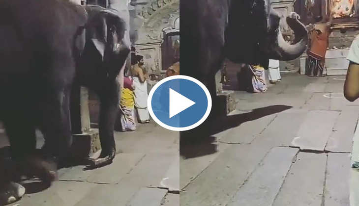 Viral Video: इस हाथी की भक्ति देख आप ही रह जाएंगे हैरान, भगवान के सामने सर झुका कर लिया आशीर्वाद, देखें वीडियो