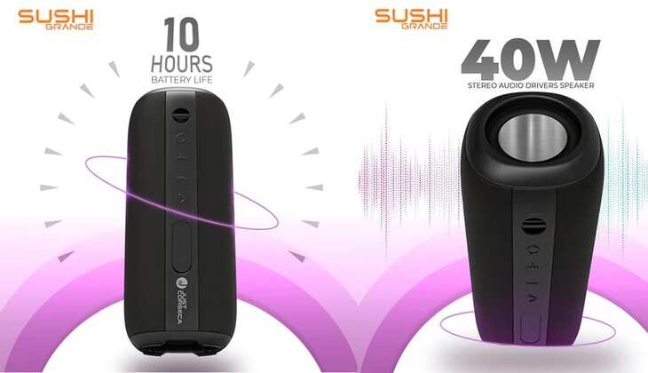 40W Portable Speaker: एडवांस्ड डिजिटल सिग्नल प्रोसेसर के साथ आ गया पोर्टेबल स्पीकर, जानिए खूबी