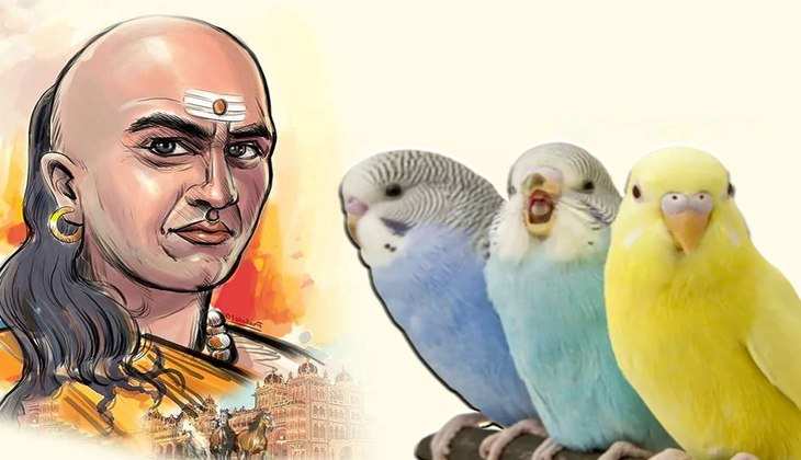 Chanakya Niti: इन 2 पक्षियों से सीखें जीवन जीने की कला, हर कदम चूमेगी सफलता