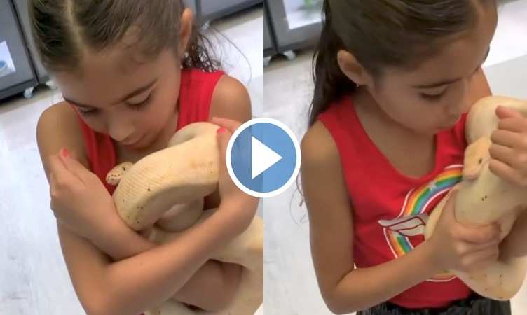 Snake Viral Video: छोटी बच्ची ने खतरनाक सांप को बना लिया अपना दोस्त, कभी गले से लगाया तो कभी किया किस