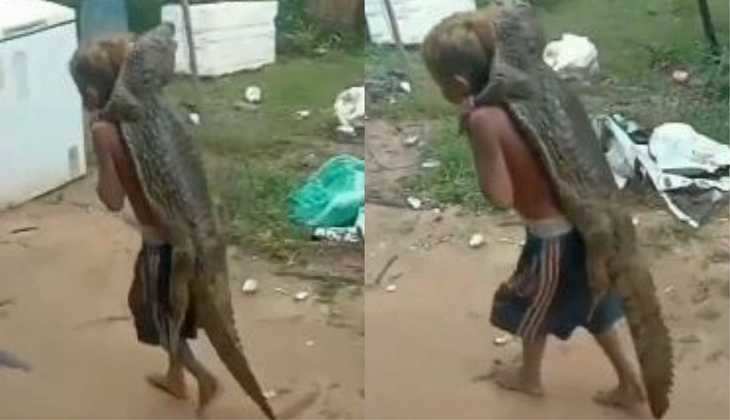 Crocodile ka Video: हाय रे! मगरमच्छ को छोटे भाई की तरह पीठ पर लेकर घूमने लगा बच्चा, देखिए वीडियो