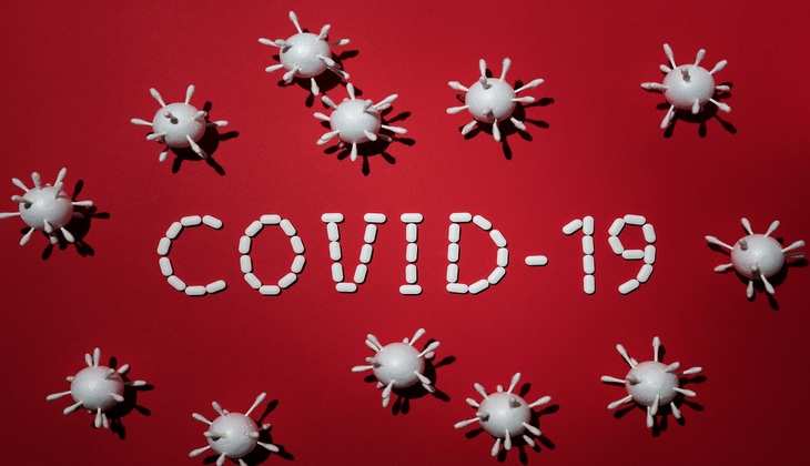 कोरोना उत्पत्ति पर WHO की रिपोर्ट में दावा: वायरस जंतुओ के ज़रिए मनुष्यों में फैला होगा