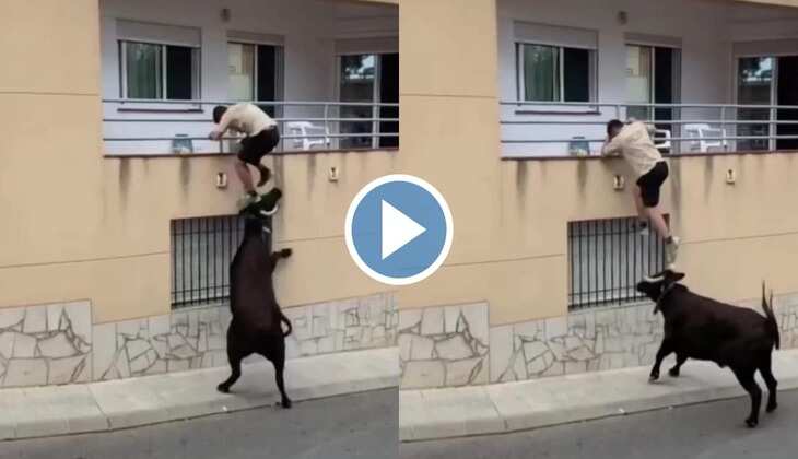 Bull Viral Video: गुस्साए सांड ने शख्स के ऊपर कर दिया हमला, बालकनी से लटक बड़ी मुश्किल से बचाई जान