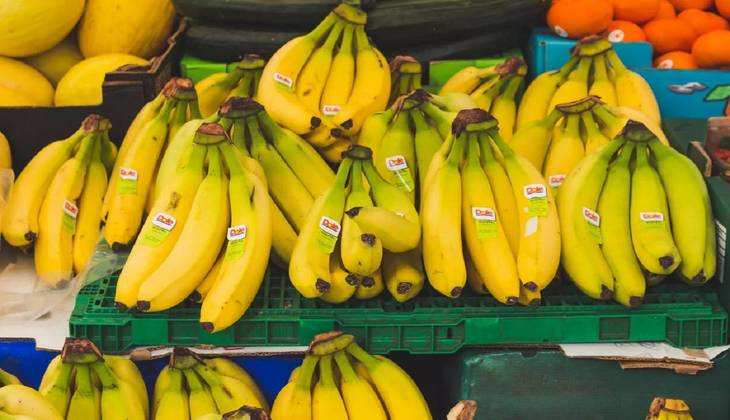 अब ना गलेंगे ना सड़ेंगे Banana, इस विधि से करें इन्हें स्टोर तो खूब चलेंगे केले