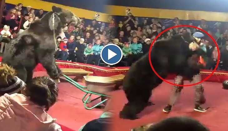 Viral Video: सर्कस दिखा रहा था शख्स तभी भालू ने कर दिया अटैक, वीडियो देख हिल जाएंगे आप