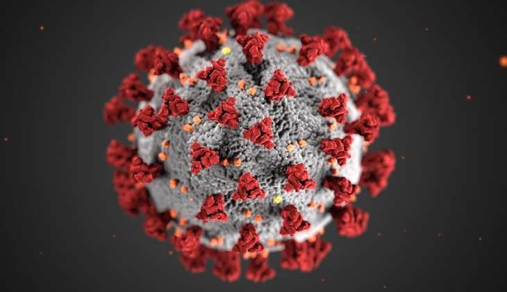 कोरोना वायरस को रोकने में सक्षम है राइनोवायरस, जानें कैसे