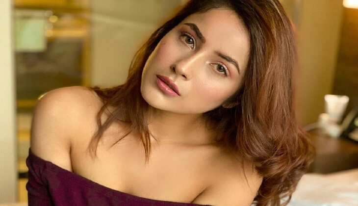 Shehnaaz Gill ने मशहूर हॉलीवुड सिंगर Ariana Grande का गया गाना, वीडियो हो रहा है वायरल