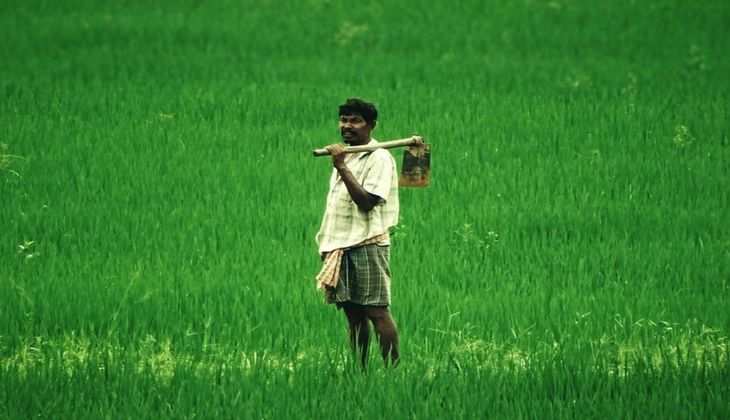 अब किसान जान पाएंगे अपनी खेती की सही कीमत,IIM ने विकसित की तकनीक