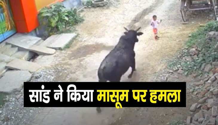 Aligarh Bull Attack: 4 साल के मासूम पर कहर बनकर टूटा सांड, दिल दहला देगा ये VIDEO