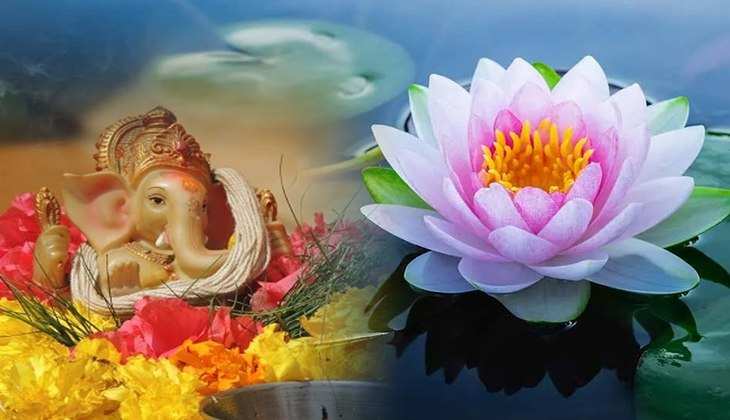 Bhagwan ki puja: जानिए किस देवी-देवता को कौन-सा फूल चढ़ाने पर चमक सकता है आपका भाग्य