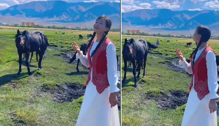 Viral Video: अंग्रेजी गाने की धुन पर लड़की संग जमकर थिरकने लगा घोड़ा, देखें ये Cute वीडियो