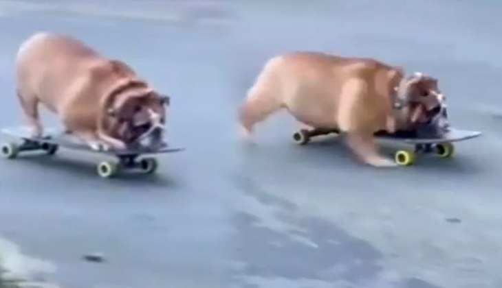 Dog Video: डॉगी ने सड़क पर की जबरदस्त स्केटिंग, इंसानों को भी कर दिया पीछे! देखें वीडियो