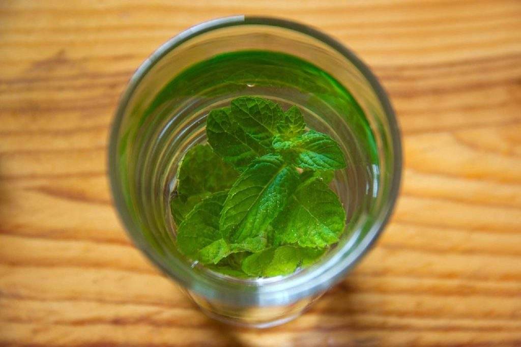 Mint Water: सुबह सुबह पी लें पुदीने का पानी, पेट की दिक्कत से लेकर त्वचा की समस्या सब हो जाएगी फुर्र