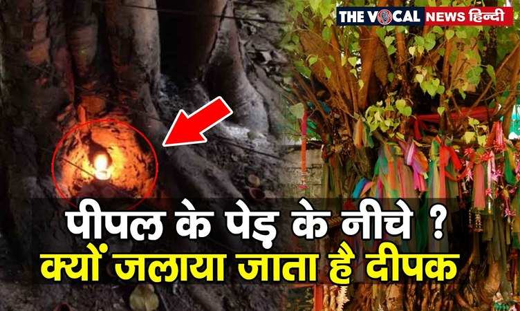 Shanivar ke upay: आज के दिन पीपल के पेड़ के नीचे क्यों जलाया जाता है सरसों के तेल का दीया...जानिए कारण