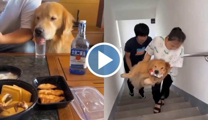 Viral Video: जब शराब पीकर टल्ली हो गया कुत्ता, फिर करने लगा ऐसी हरकतें, देखें वायरल वीडियो