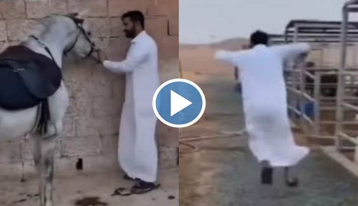 Viral Video: घोड़े ने मारी ऐसी जगह पर लात जोर-जोर से कूदने लगा ये बंदा, देखिए मजेदार वीडियो