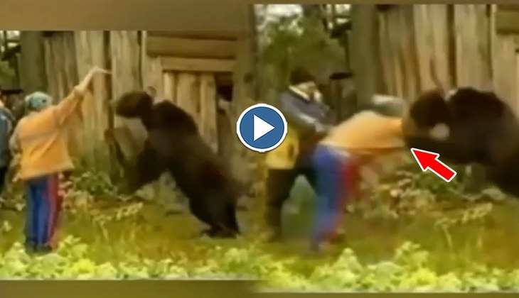 Viral Video: Haww! भालू को खाना खिलाने आया ये शख्स खुद ही हो गया शिकार, मजबूत दिल वाले देखें वीडियो