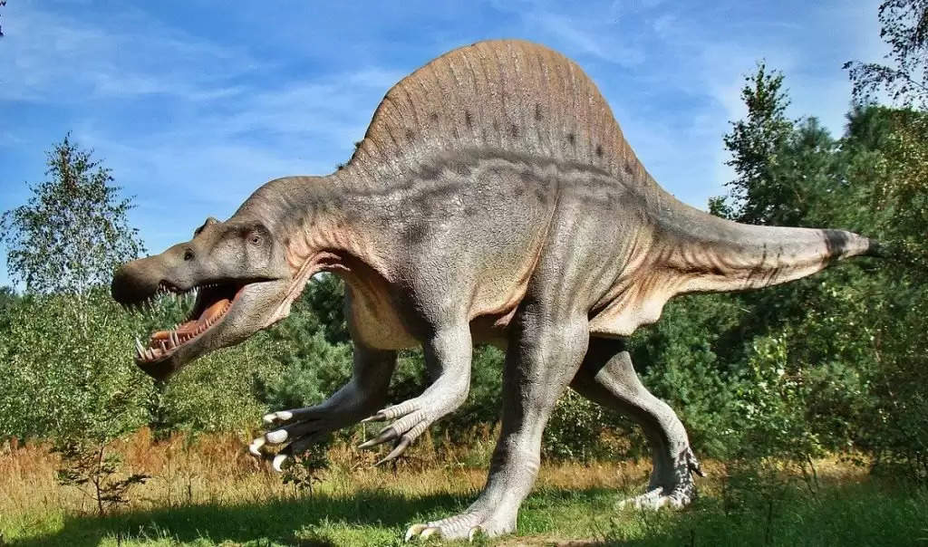 110 मिलियन साल पहले चलने वाले डायनासोर के पैरों के निशान पाए गए