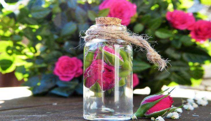 Rose Water Recipe: गर्मी में पिएं केमिकल फ्री गुलाब का शरबत, सेहत के लिए भी है फायदेमंद