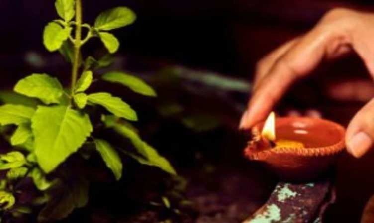 Navratri ke upay: घर में मौजूद है तुलसी का पौधा, तो माता की कृपा पाने के लिए जरूर करें ये काम