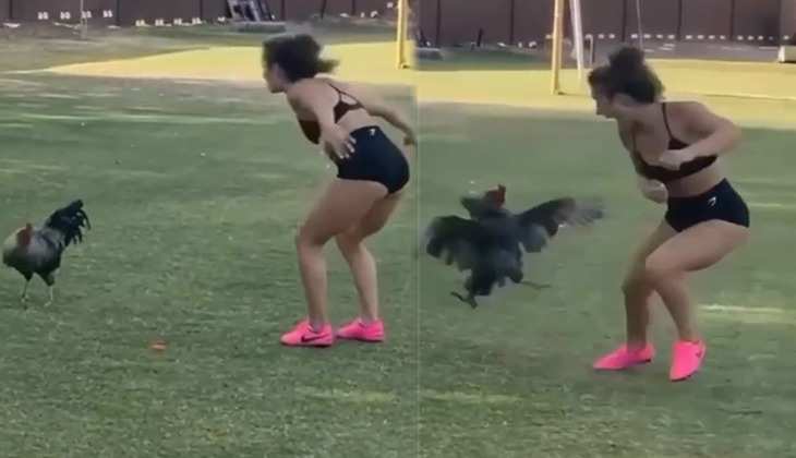 Viral Video: मुर्गे को छेड़ना लड़की को पड़ गया भारी, फिर हुआ कुछ ऐसा देख नहीं रुकेगी हंसी
