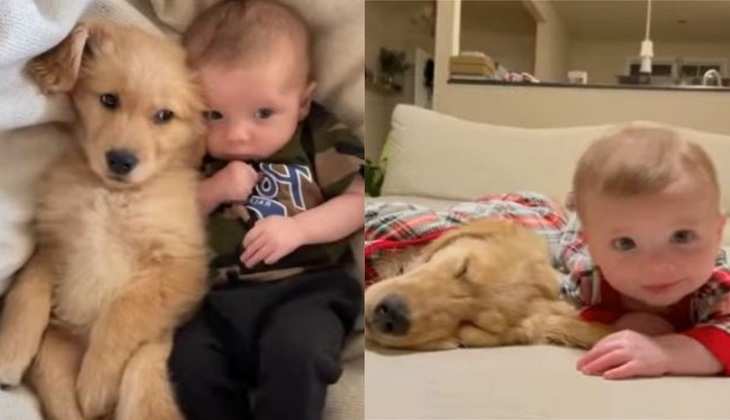 Dog Video: बच्चे के साथ बिस्तर पर सोता है ये डॉगी, मां-बाप की तरह रखता है पूरा ख्याल