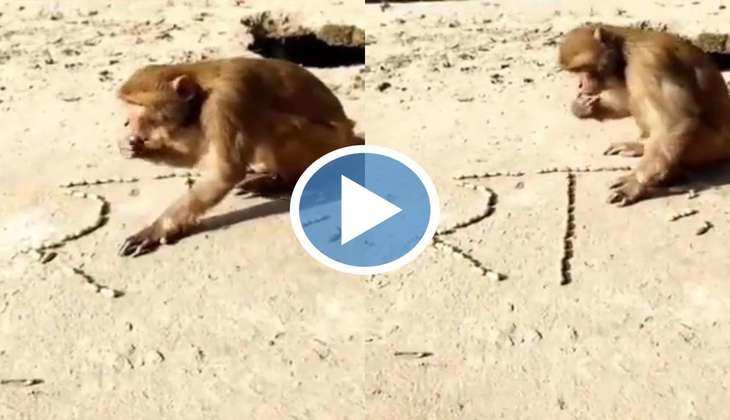 Viral Video: बन्दर ने मूंगफली से रेत पर लिखा भगवान राम, वीडियो देख आपकी भी आँखें रह जाएँगी खुली
