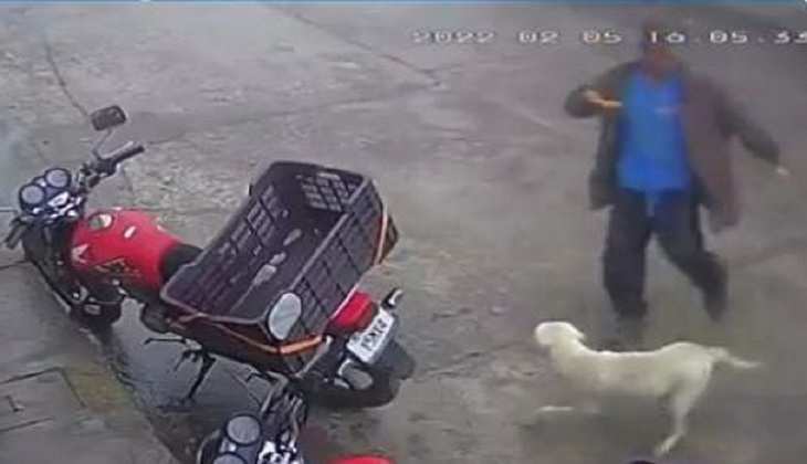 Dog Video: कुत्ते को लात मारना इस व्यक्ति को पड़ा महंगा, CCTV में कैद हुआ मामला