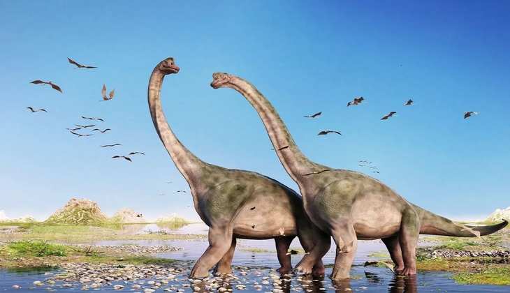 चीन के उत्तर-पश्चिमी क्षेत्र में खोजी गई डायनासोर की दो नई प्रजातियां, जानिए डिटेल्स