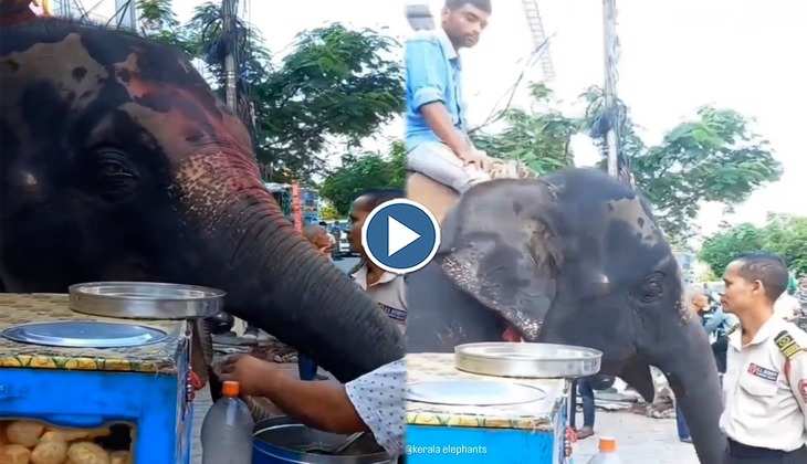 Viral Video: हाथी ने ठेले पर सटासट खाए पानी वाले गोलगप्पे, देखिए जनता को भा रहा ये वीडियो