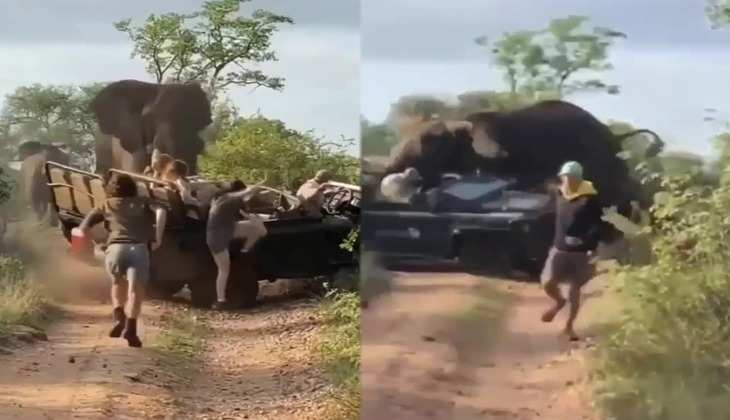Viral Video: हाथियों को आया गुस्सा तो पलट दी टूरिस्टों से भरी जीप, देखिए वीडियो